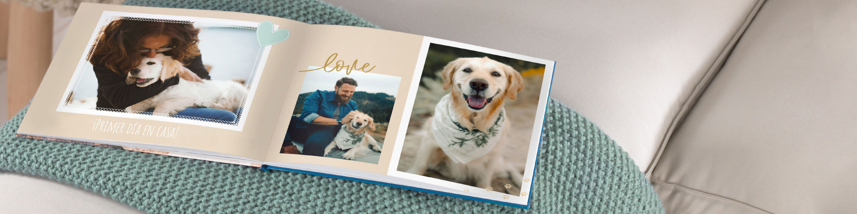 Álbum de fotos abierto con fotos de perros con sus dueños.