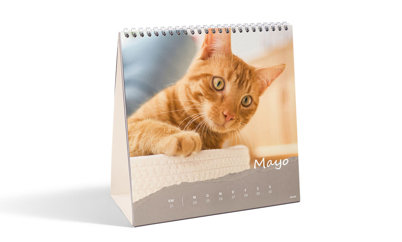 Crea tu calendario semanal personalizado con tus mejores recuerdos.